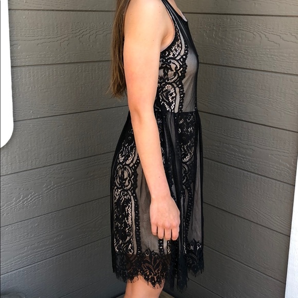 Blu Pepper Lace Dress - Picture 4 of 4